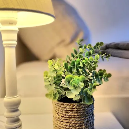 Apartment77 شقة *