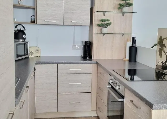 Διαμέρισμα Apartment77 Bad Ischl